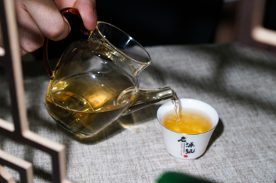 大益普洱茶 以禮儀之魂，塑品牌之韻——品牌與禮儀活動策劃方案